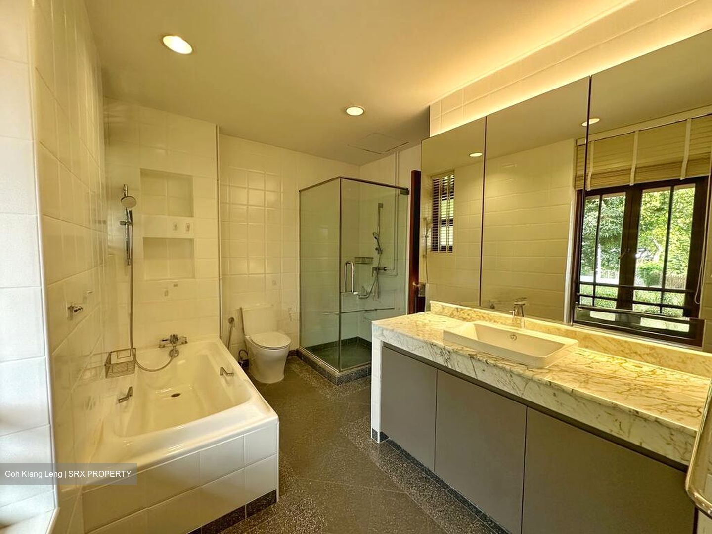 Leedon Road (D10), Detached #497241381